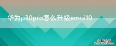 华为p30pro怎么升级emui10 华为P30pro怎么升级内存