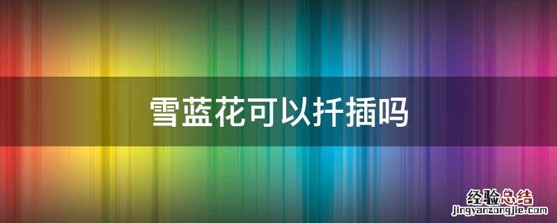 雪蓝花可以扦插吗