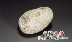 古代龙涎香是什么东西 龙涎香的本质是什么