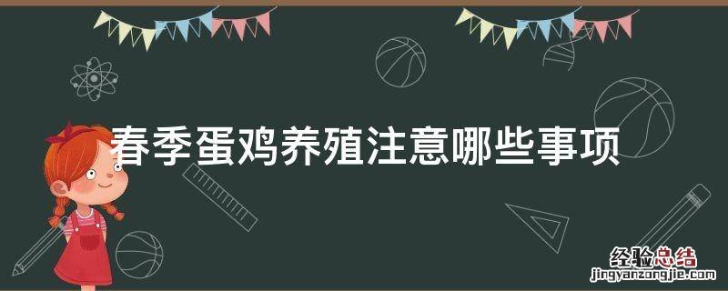 春季蛋鸡养殖注意哪些事项