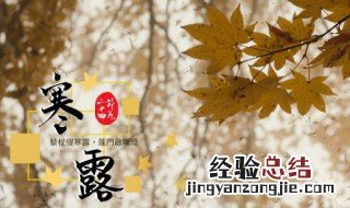 寒露是什么节气 寒露是指什么节气