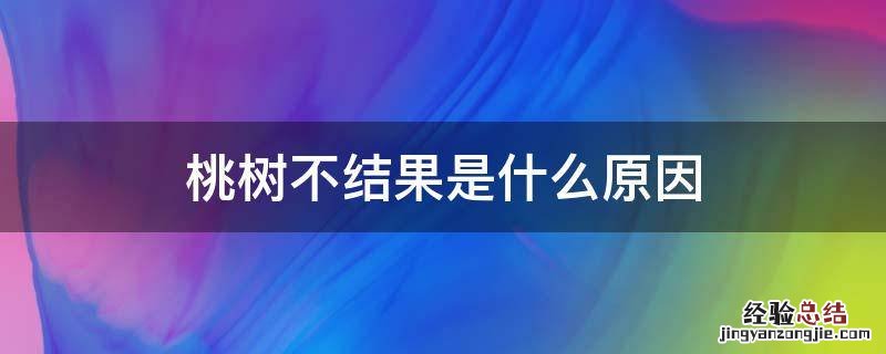 桃树不结果是什么原因