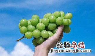 香印葡萄和阳光玫瑰葡萄有区别吗 香印葡萄和阳光玫瑰葡萄有没有区别