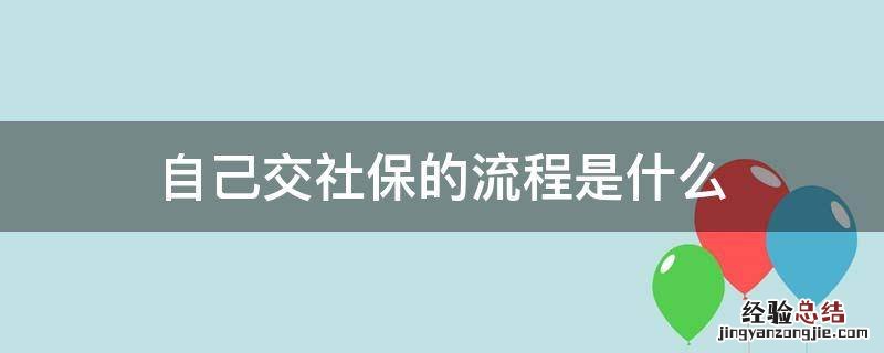 自己交社保的流程是什么