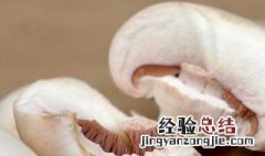 新鲜口蘑需不需要焯水 新鲜口蘑不焯水可以吗