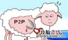 羊毛党是什么意思 什么是羊毛党