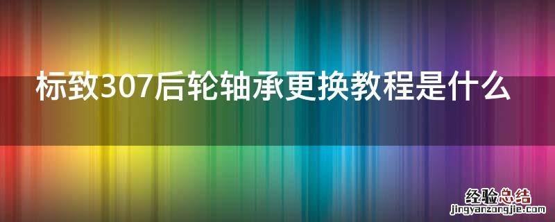 标致307后轮轴承更换教程是什么