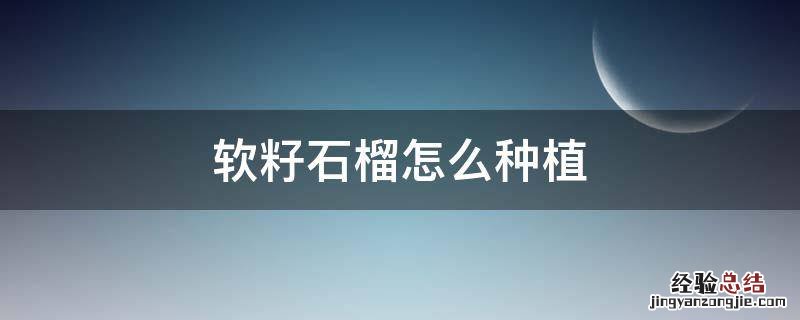 软籽石榴怎么种植