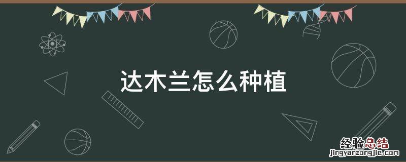达木兰怎么种植