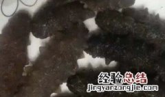 干海参用暖瓶泡发的正确方法 暖瓶发海参的正确方法