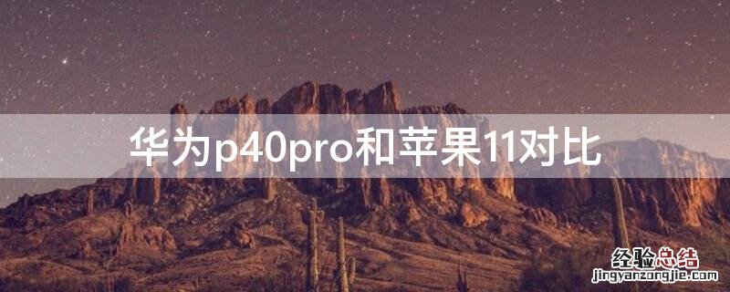 华为P40和iPhone11对比