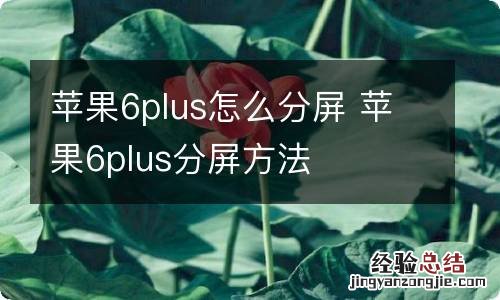 苹果6plus怎么分屏 苹果6plus分屏方法