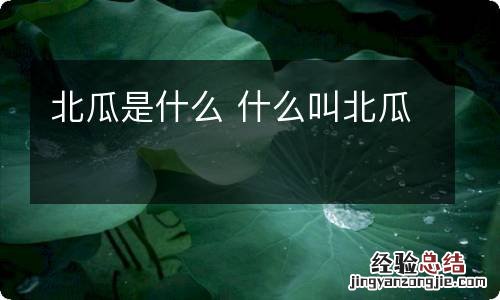 北瓜是什么 什么叫北瓜