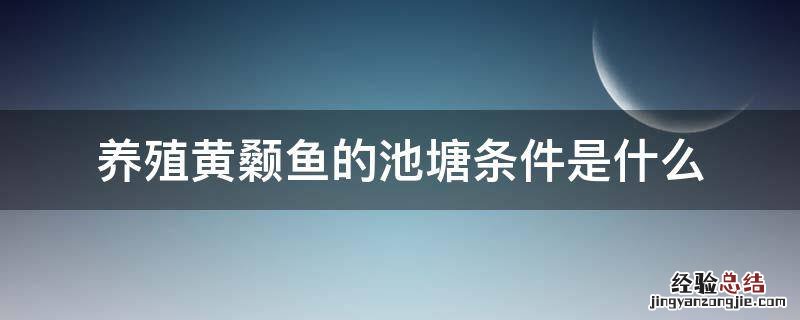 养殖黄颡鱼的池塘条件是什么