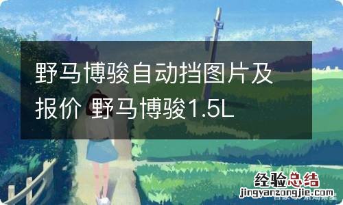 野马博骏自动挡图片及报价 野马博骏1.5L