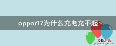 oppor17为什么充电充不起