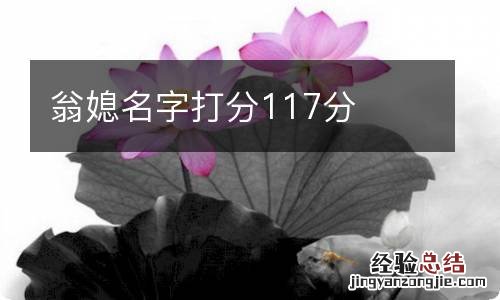 翁媳名字打分117分