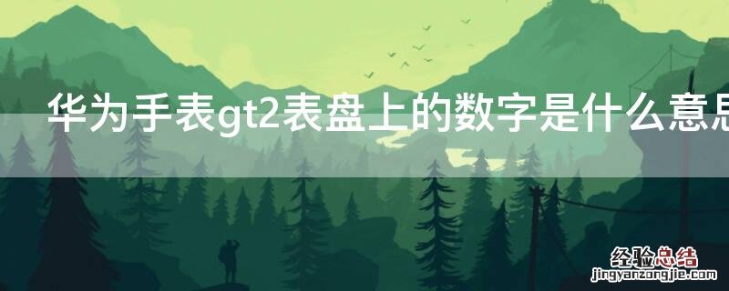 华为手表gt2表盘上的数字是什么意思