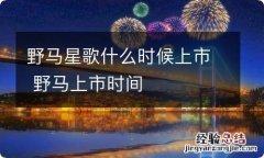 野马星歌什么时候上市 野马上市时间