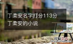 丁柔安名字打分113分 丁柔安的小说