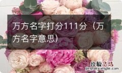 万方名字意思 万方名字打分111分