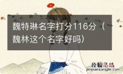 魏林这个名字好吗 魏特琳名字打分116分