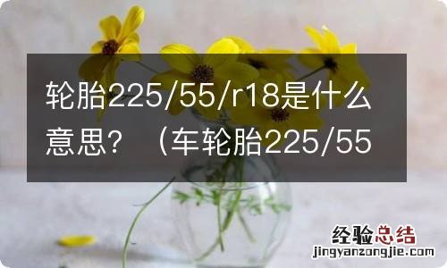 车轮胎225/55/R17啥意思 轮胎225/55/r18是什么意思？