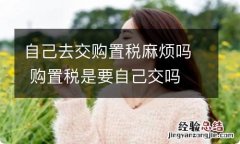 自己去交购置税麻烦吗 购置税是要自己交吗