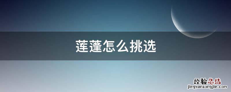 莲蓬怎么挑选