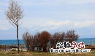 西北风是指从什么方向吹向什么方向的风 西北风是指从什么方吹向什么方的风