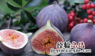 桃树的根茎叶花果实种子有什么特征 桃树的根茎叶花果实种子的特征
