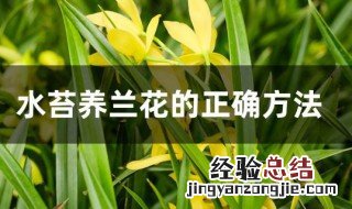 水苔养兰花的正确方法 水苔养兰花怎么养