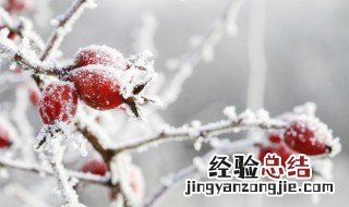 冬至各地风俗差异 冬至各地风俗