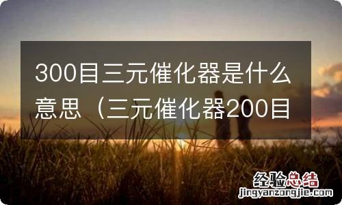 三元催化器200目和300目的区别 300目三元催化器是什么意思