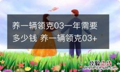 养一辆领克03一年需要多少钱 养一辆领克03+一年需要多少钱