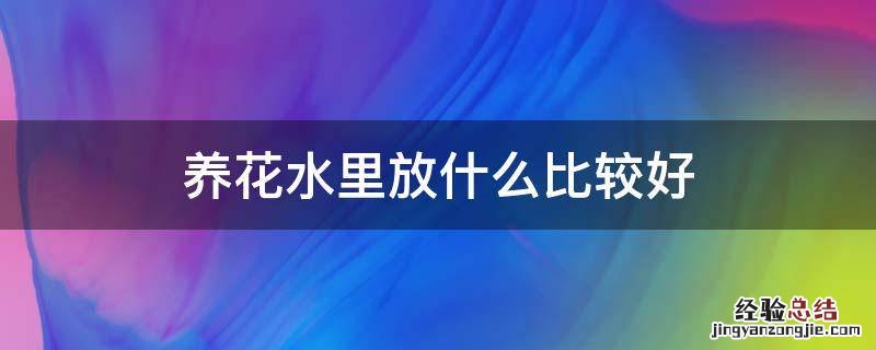 养花水里放什么比较好