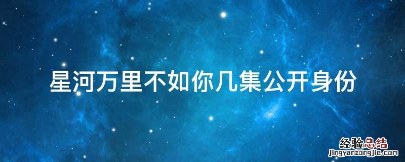 星河万里不如你几集公开身份