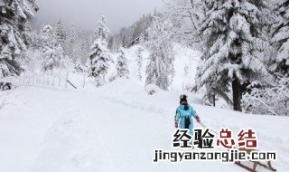 关于冷雪的句子 关于冷雪的句子简短