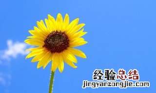 形容活泼开阴的句子成语 形容活泼开阴的句子