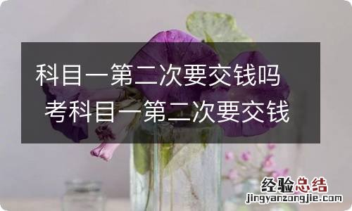 科目一第二次要交钱吗 考科目一第二次要交钱吗