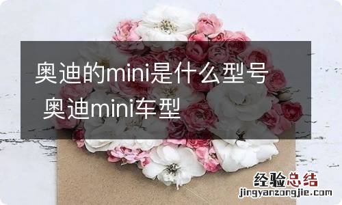 奥迪的mini是什么型号 奥迪mini车型