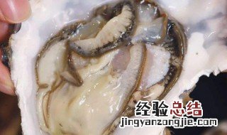 新鲜生蚝怎么保存 新鲜生蚝保存方法