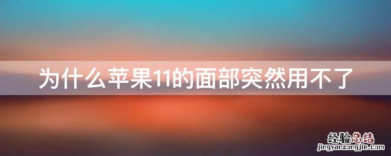 为什么iPhone11的面部突然用不了