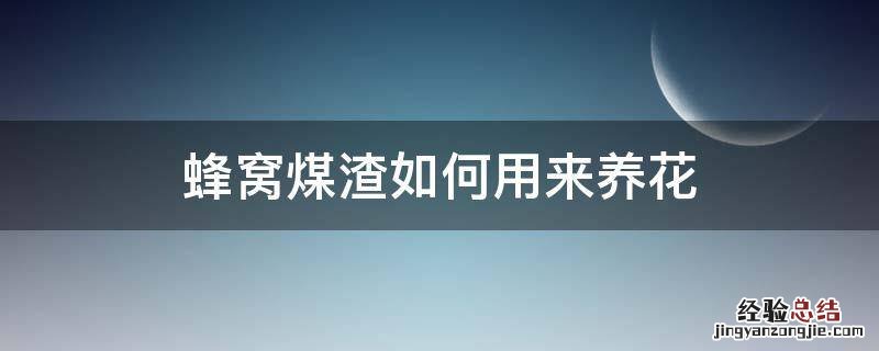 蜂窝煤渣如何用来养花