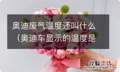 奥迪车显示的温度是车内的? 奥迪废气温度还叫什么