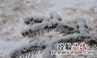 初雪发朋友圈句子 初雪的唯美说说发朋友圈