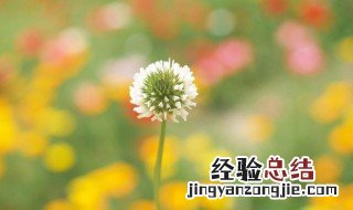 生活顺遂是什么意思 生活顺遂的意思