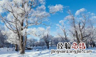 关于雪的发朋友圈句子 下雪的唯美句子