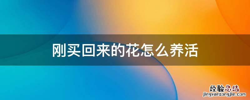 刚买回来的花怎么养活