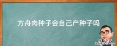 方舟肉种子会自己产种子吗